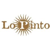 www.vinilopinto.com